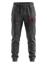 Load image into Gallery viewer, EA Hoodie and Pants Set