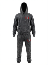 Load image into Gallery viewer, EA Hoodie and Pants Set