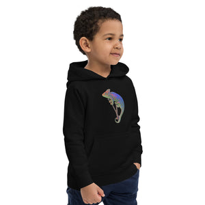 Everything Authentic Kids eco hoodie