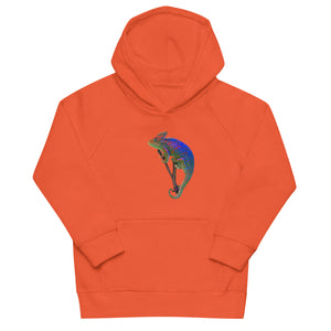 Everything Authentic Kids eco hoodie