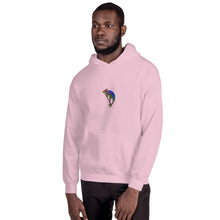 Load image into Gallery viewer, EA Mens Chameleon Hoodie