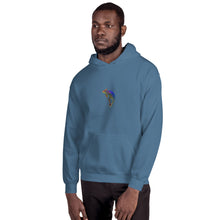 Load image into Gallery viewer, EA Mens Chameleon Hoodie