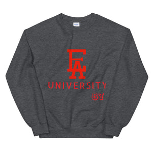 EA University Sweatshirt