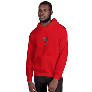 EA Mens Chameleon Hoodie