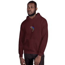 Load image into Gallery viewer, EA Mens Chameleon Hoodie