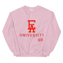 Load image into Gallery viewer, EA University Sweatshirt