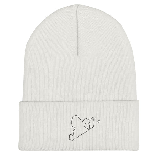 Cuffed Beanie