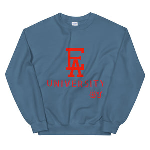 EA University Sweatshirt